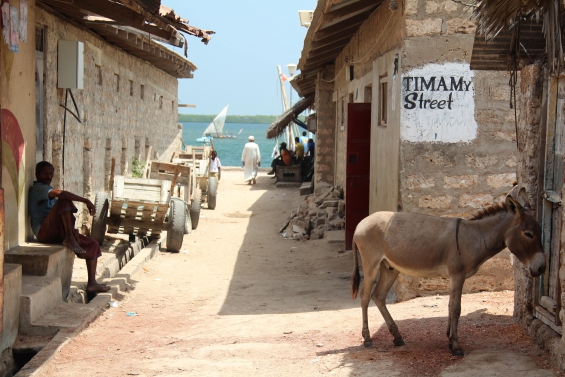 Lamu Island